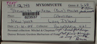 Image Associated With the Occurence